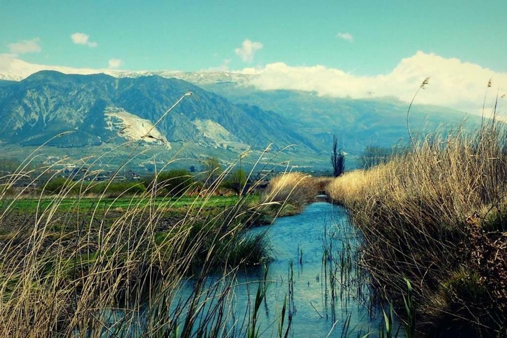 Cortijo De Los Geraneos Padul Εξωτερικό φωτογραφία